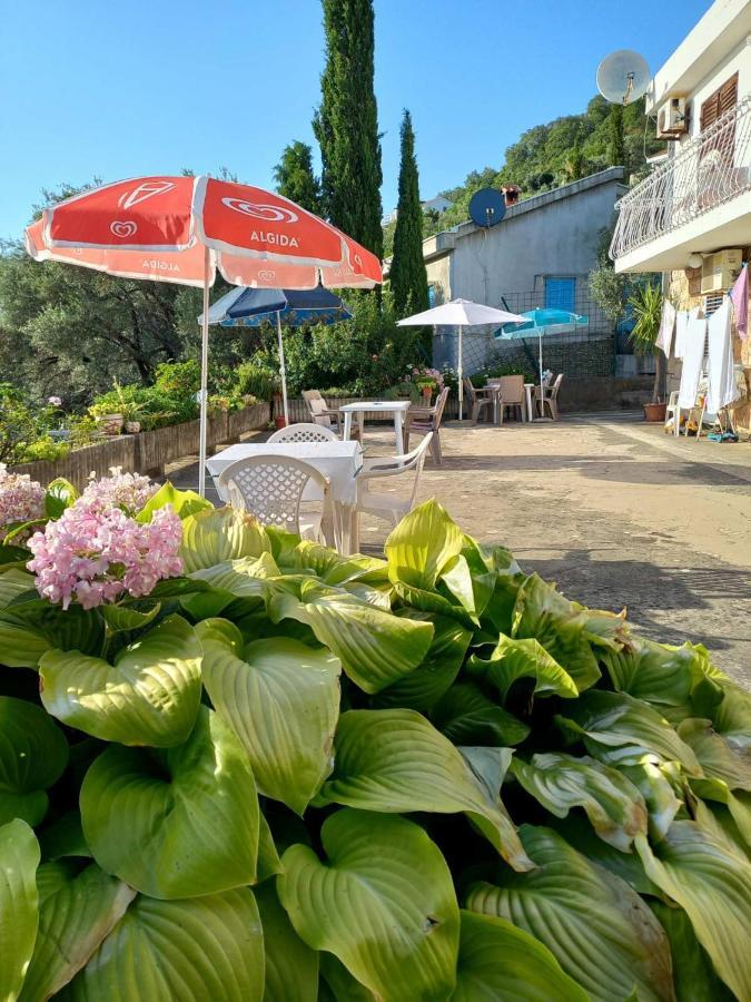 Apartments Andjus Sveti Stefan Eksteriør billede